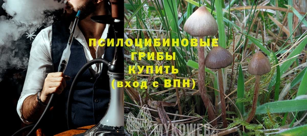 jwh Белокуриха